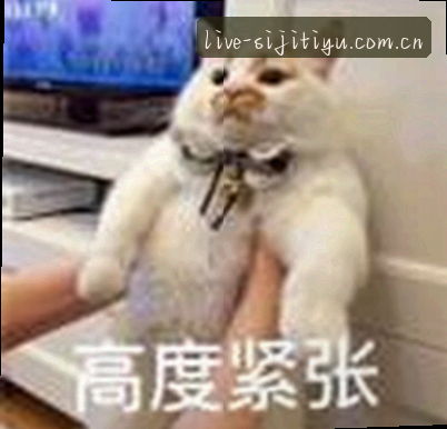 刘总